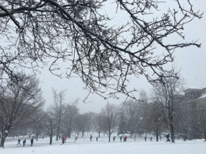 Clinton Square Park, one of the most popular destinations within the city of Syracuse’s parks and recreation department, is located over the Erie Canal.