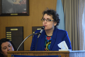 Dana Balter, a Democrat, detailed her congressional campaign during a forum hosted by the Onondaga County Democratic Committee on Saturday.