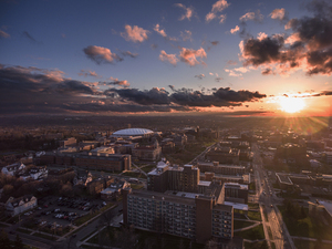 The University Senate Committee on Women's Concerns submitted a report calling for an Ombuds Office in 2016. 