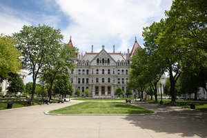 All new vehicles sold in New York state by the year 2035 must be zero-emissions, like electric or plug-in hybrid vehicles. 